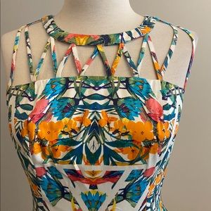 Adrianna Papell dress